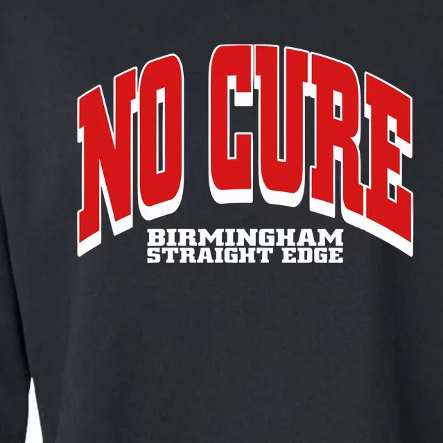 No Cure Xxx No Cure Birmingham Straight Edge Cropped Pullover Crew