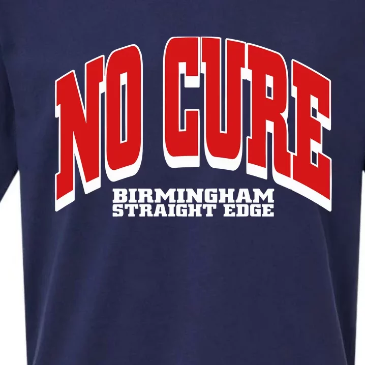 No Cure Xxx No Cure Birmingham Straight Edge Sueded Cloud Jersey T-Shirt