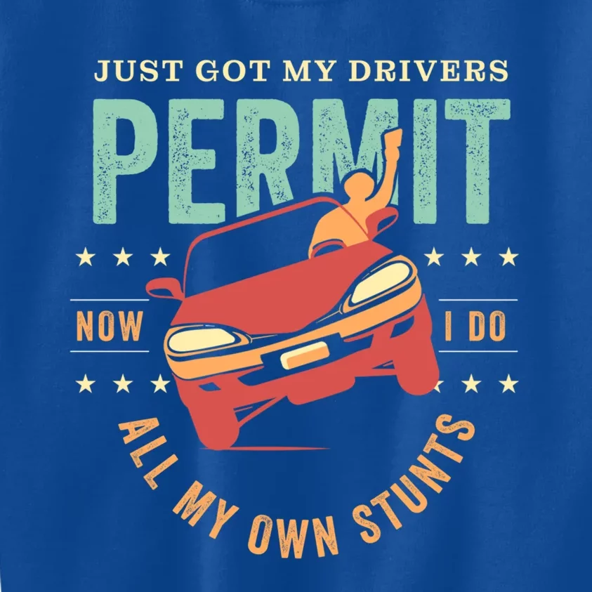 New Driver For Just Got My Drivers Permit I Do My Own Stunts Gift Kids Sweatshirt