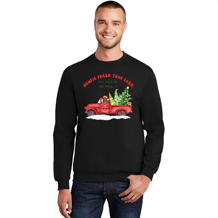 Newfie Dog Fresh Tree Farm Tall Sweatshirt