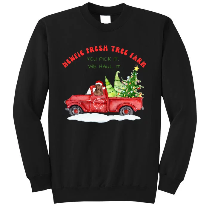 Newfie Dog Fresh Tree Farm Tall Sweatshirt