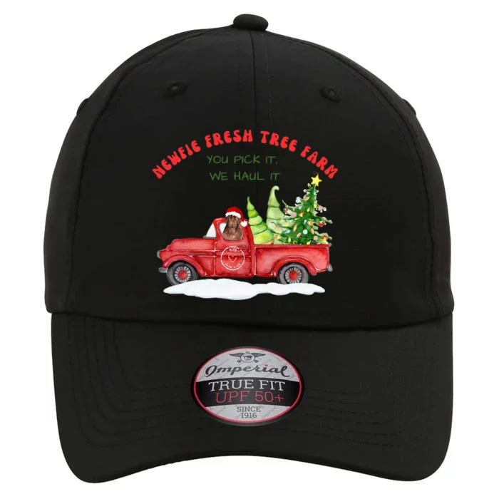 Newfie Dog Fresh Tree Farm The Original Performance Cap