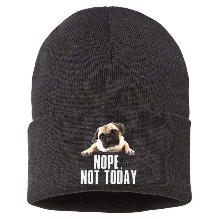 Nope Dog Not Today Pug for  Mom Sustainable Knit Beanie