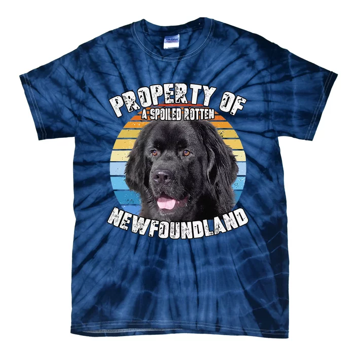 Newfoundland Dog Retro Property Of Cute Dog Tie-Dye T-Shirt