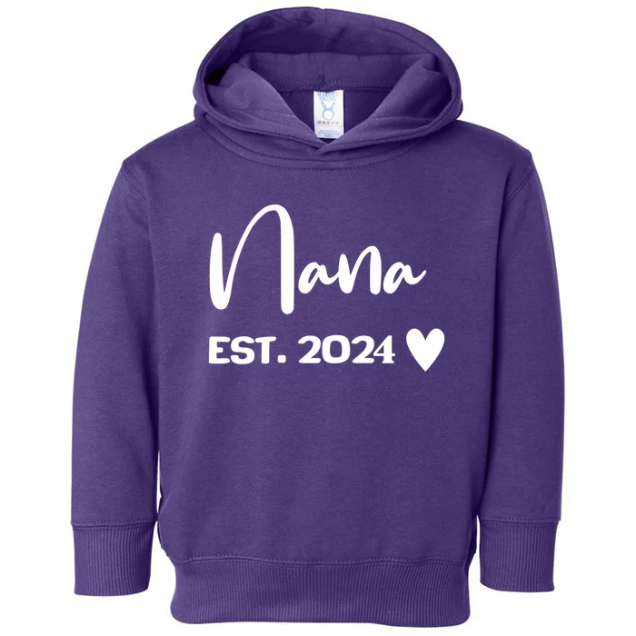 Nana Est. 2024 New Baby Toddler Hoodie