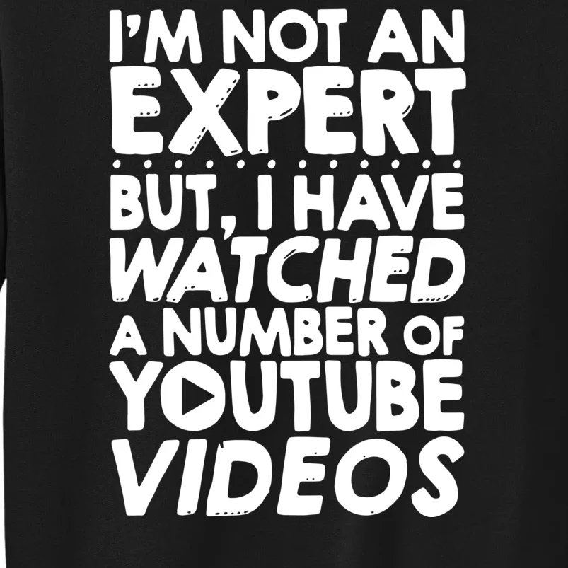 No Expert But I've Watched A Number Of YouTube Videos Funny Tall Sweatshirt