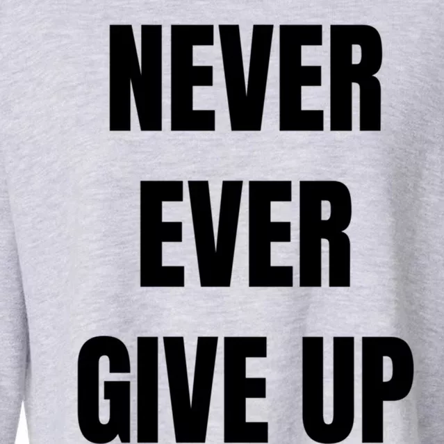 Never Ever Give Up Gift Cropped Pullover Crew