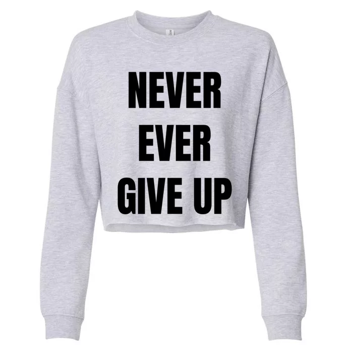 Never Ever Give Up Gift Cropped Pullover Crew