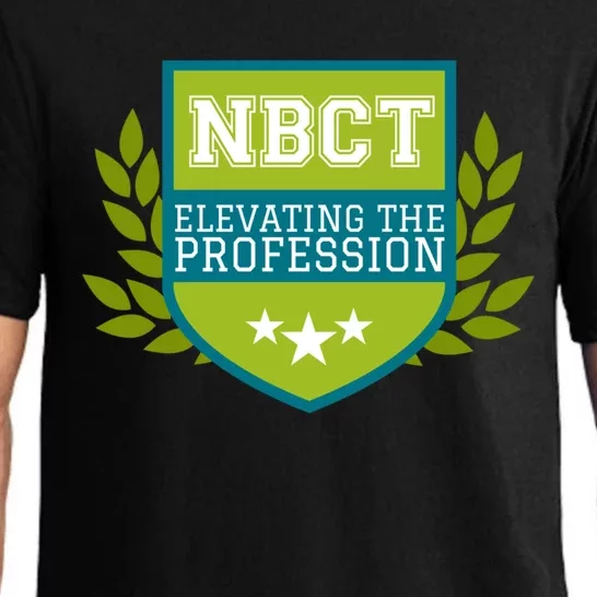 Nbct Elevating The Profession Certified Teacher Appreciation Funny Gift Pajama Set