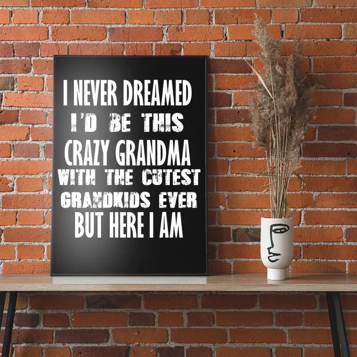 Never Dreamed I'd Be A Crazy Grandma Poster