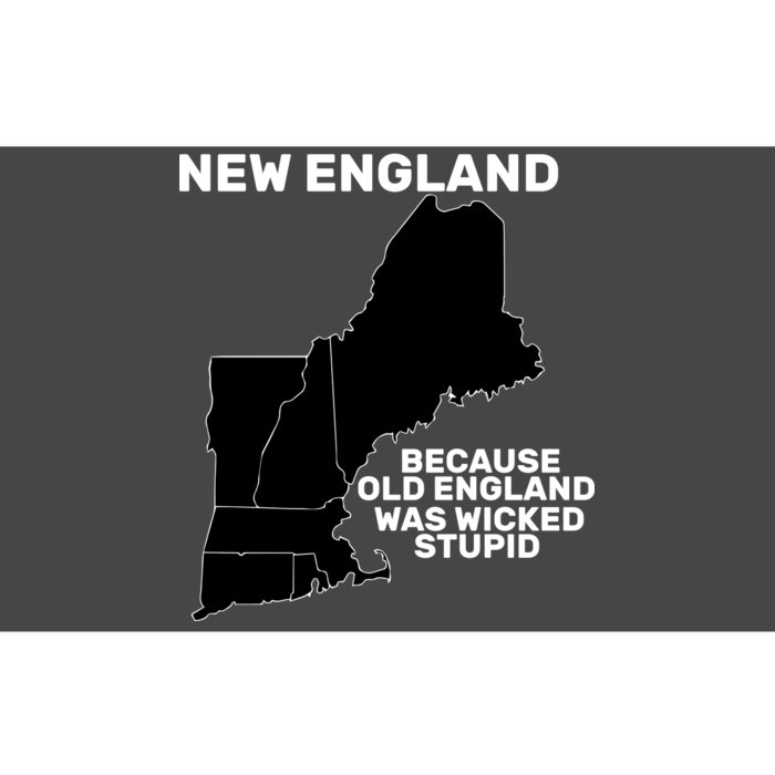 New England Because Old England Was Wicked Stupid Bumper Sticker