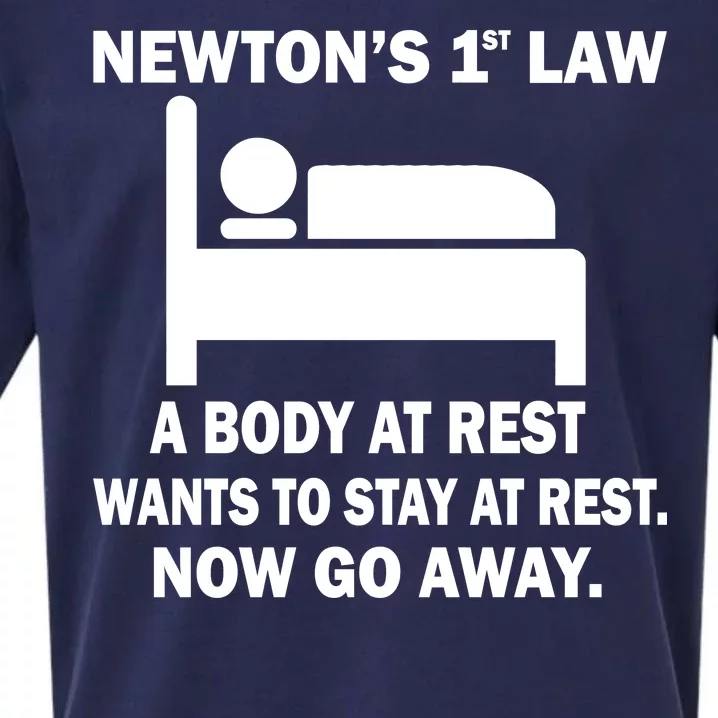 Newton's 1st Law A Body At Rest Sueded Cloud Jersey T-Shirt