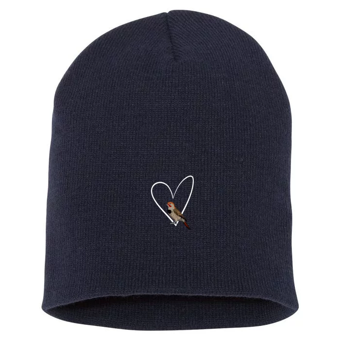 Northern Flicker Bird Birdlover Birdwatcher Animal Biologist Short Acrylic Beanie