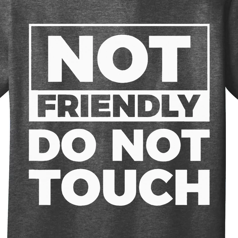 Not Friendly Do Not Touch T-Shirt