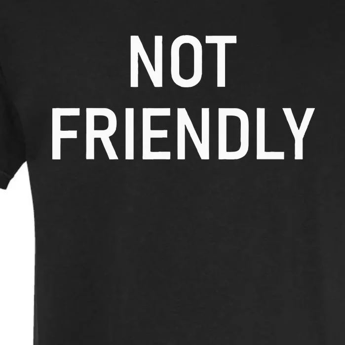 Not Friendly Funny Jokes Sarcastic Garment-Dyed Heavyweight T-Shirt