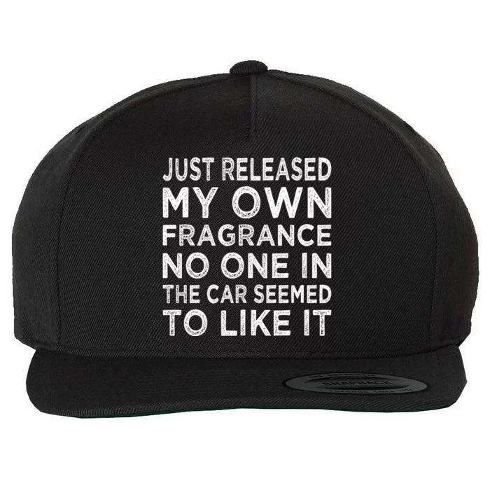 New Fragrance Funny Flatulence Novelty Tee Gift Wool Snapback Cap