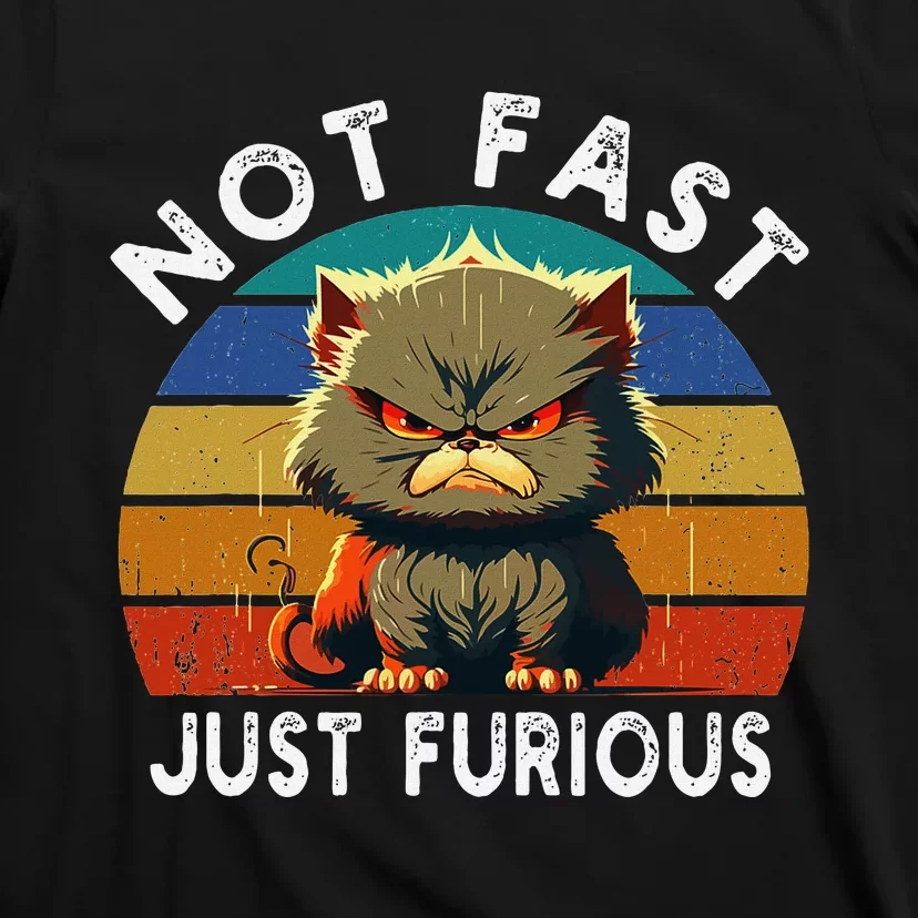 Not Fast Just Furious Retro Funny Cat Kitty Lover Sarcastic T-Shirt