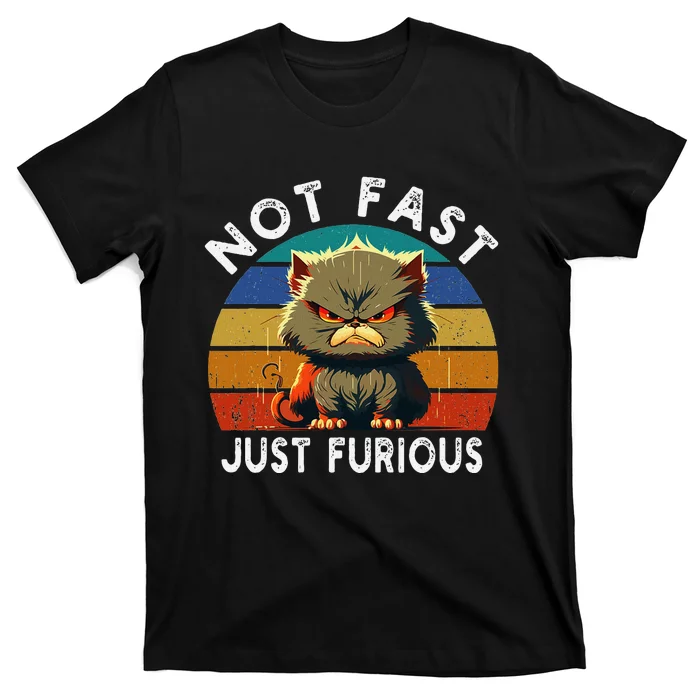 Not Fast Just Furious Retro Funny Cat Kitty Lover Sarcastic T-Shirt