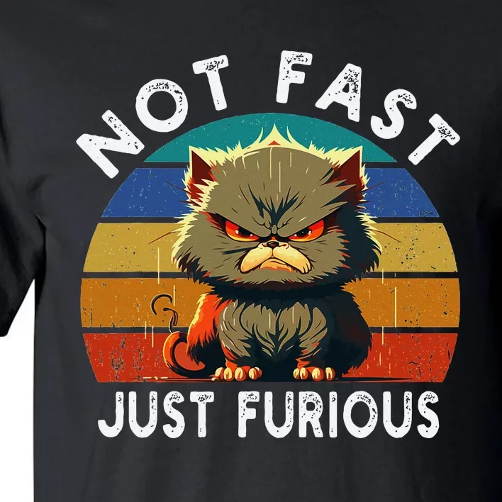 Not Fast Just Furious Retro Funny Cat Kitty Lover Sarcastic Tall T-Shirt