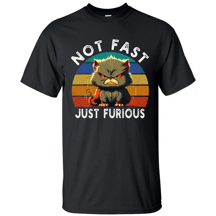 Not Fast Just Furious Retro Funny Cat Kitty Lover Sarcastic Tall T-Shirt