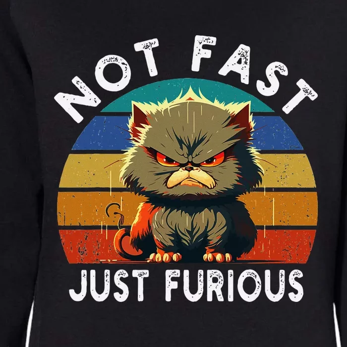 Not Fast Just Furious Retro Funny Cat Kitty Lover Sarcastic Womens California Wash Sweatshirt