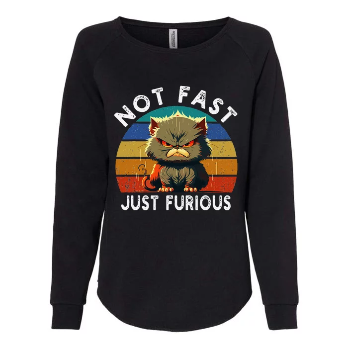 Not Fast Just Furious Retro Funny Cat Kitty Lover Sarcastic Womens California Wash Sweatshirt