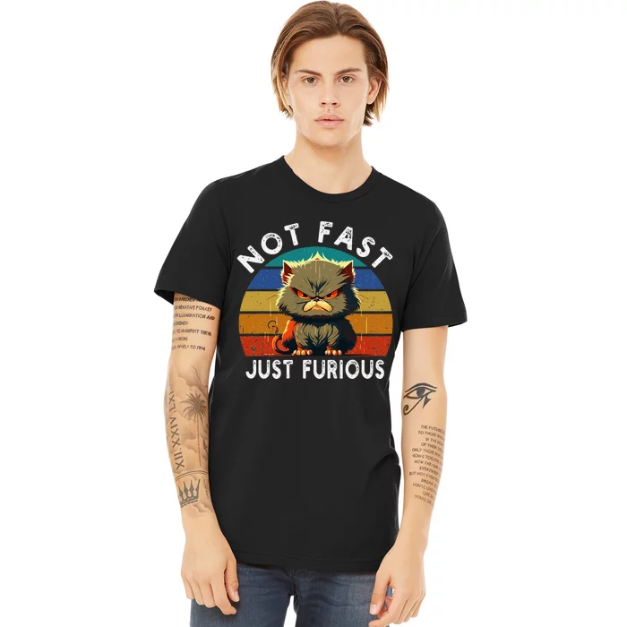 Not Fast Just Furious Retro Funny Cat Kitty Lover Sarcastic Premium T-Shirt