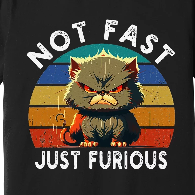 Not Fast Just Furious Retro Funny Cat Kitty Lover Sarcastic Premium T-Shirt