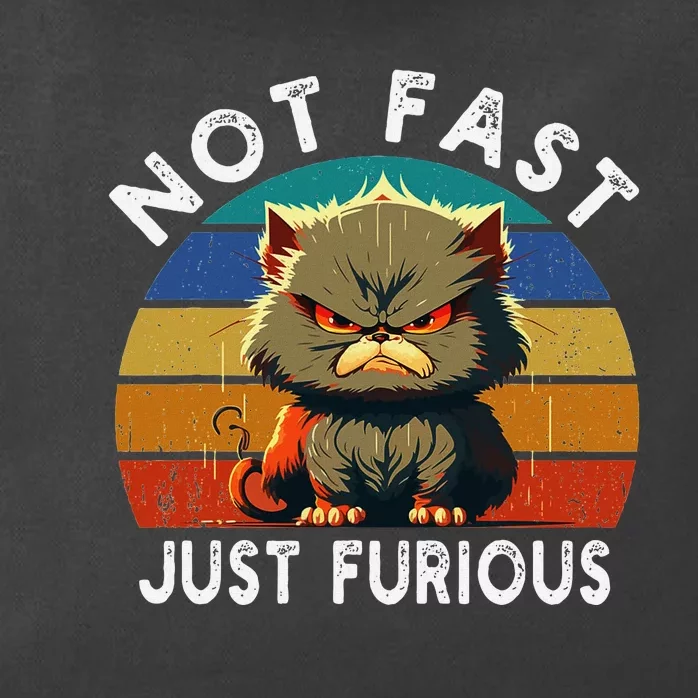 Not Fast Just Furious Retro Funny Cat Kitty Lover Sarcastic Zip Tote Bag