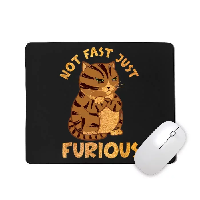 Not Fast Just Furious Funny Cute Grumpy Fat Cat Pet Lovers Mousepad