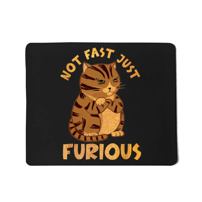 Not Fast Just Furious Funny Cute Grumpy Fat Cat Pet Lovers Mousepad