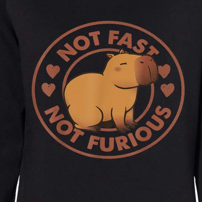 Not Fast Not Furious Capybara Womens California Wash Sweatshirt