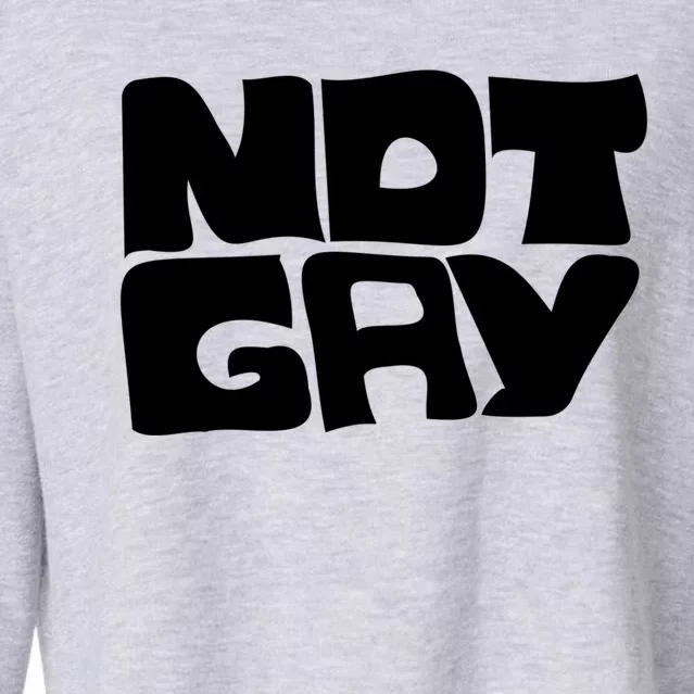 Not Gay But I Love You Straight Hetero Meaningful Gift Cropped Pullover Crew