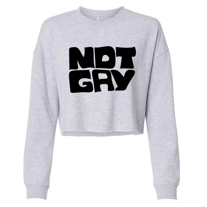 Not Gay But I Love You Straight Hetero Meaningful Gift Cropped Pullover Crew