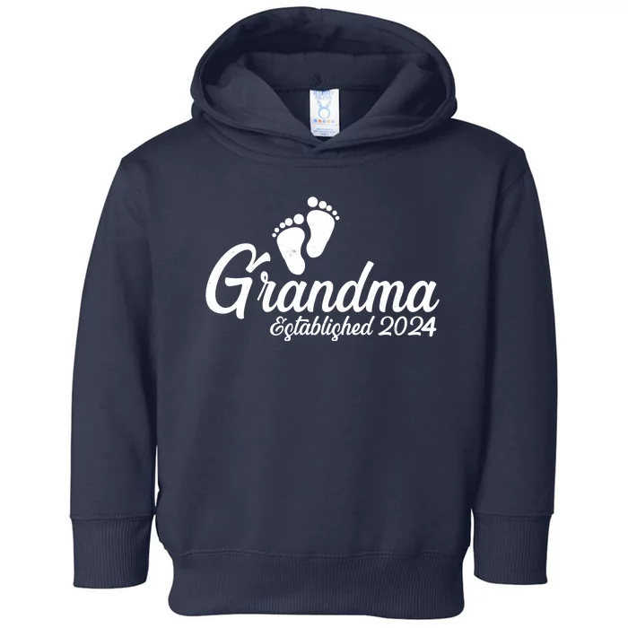 New Grandma Established 2024 Family Toddler Hoodie