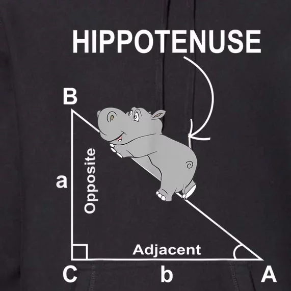 Nerd Geometry Hippotenuse Hypotenuse Funny Premium Hoodie