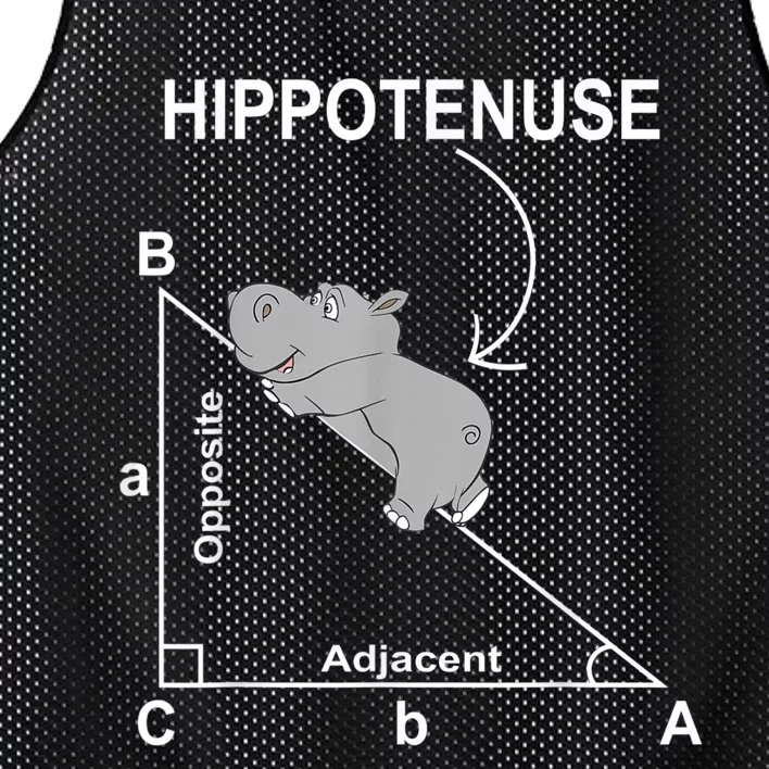 Nerd Geometry Hippotenuse Hypotenuse Funny Mesh Reversible Basketball Jersey Tank