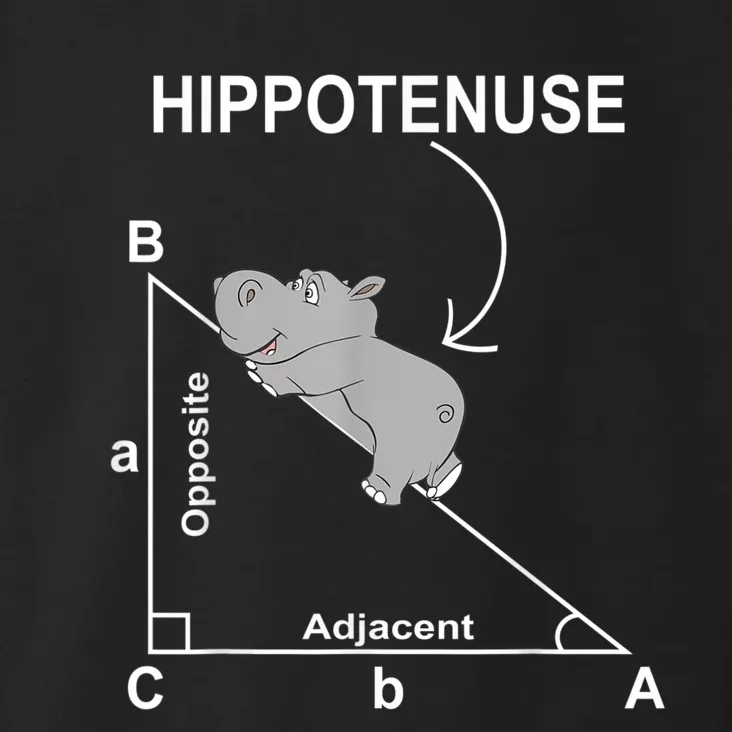 Nerd Geometry Hippotenuse Hypotenuse Funny Toddler Hoodie