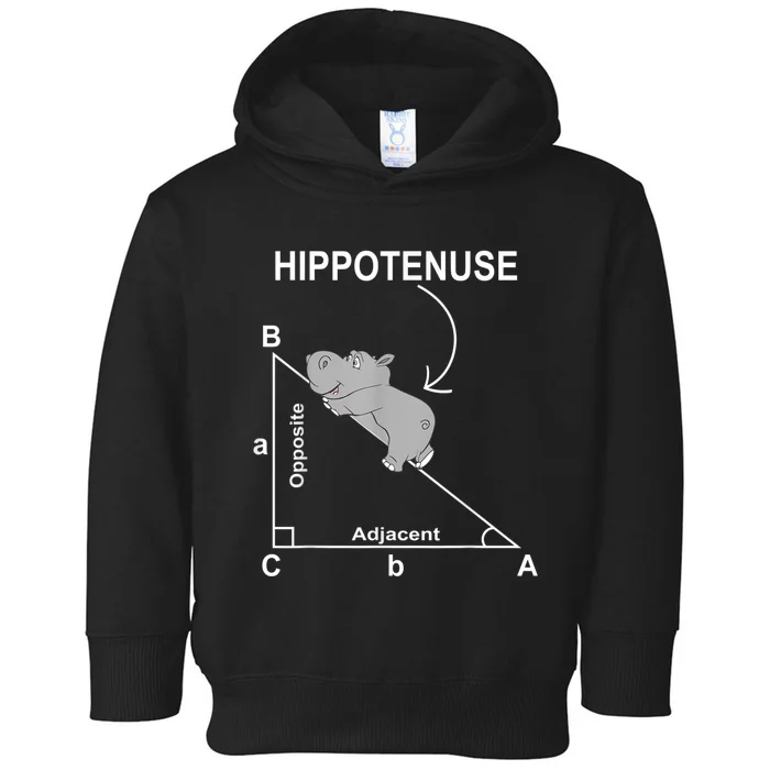 Nerd Geometry Hippotenuse Hypotenuse Funny Toddler Hoodie