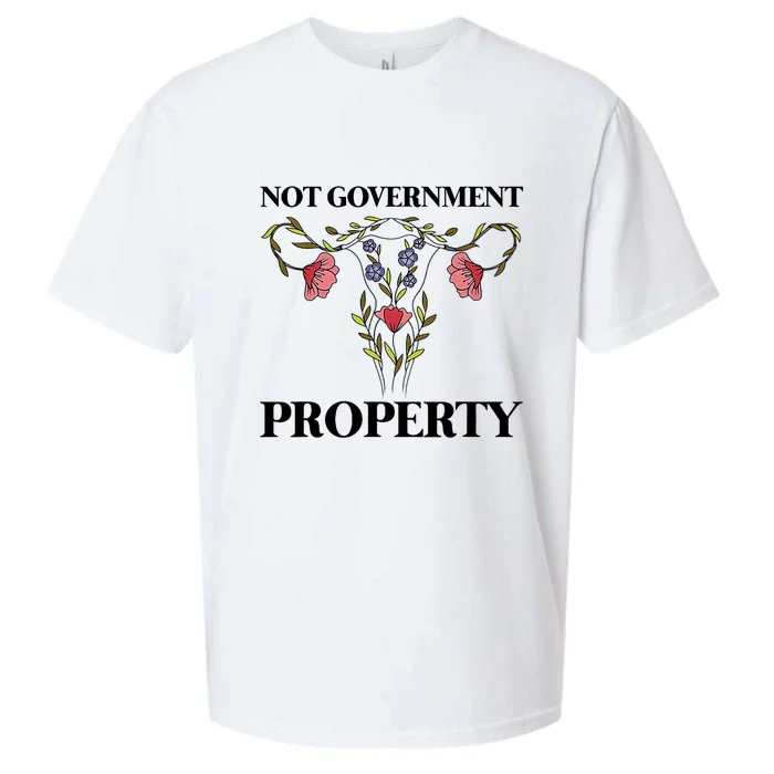 Not Government Property Sueded Cloud Jersey T-Shirt