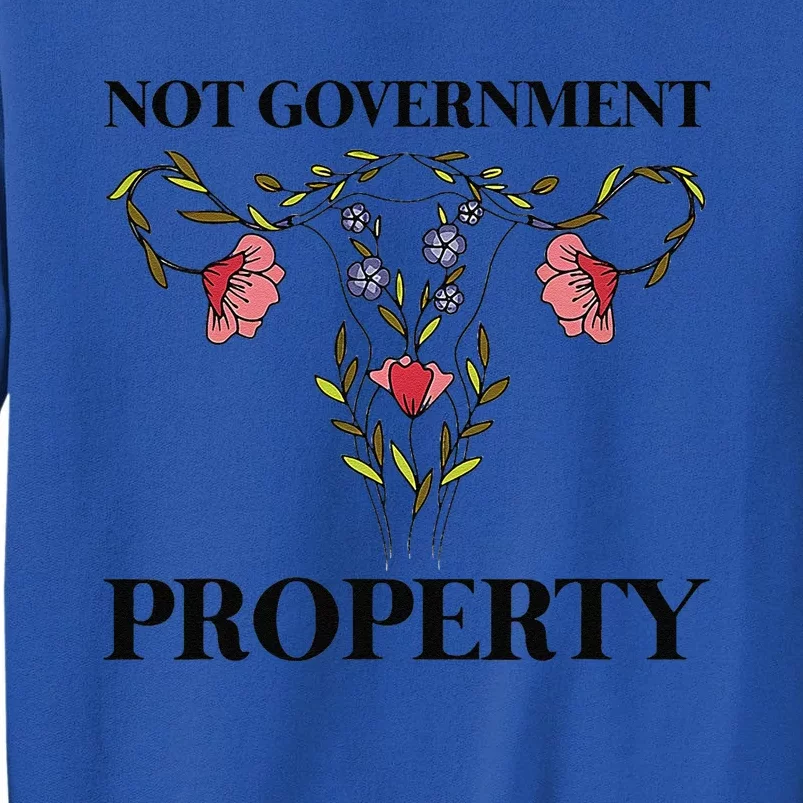 Not Government Property Sweatshirt