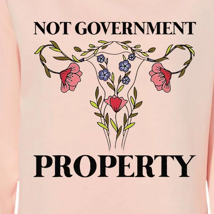 Not Government Property Womens California Wash Sweatshirt