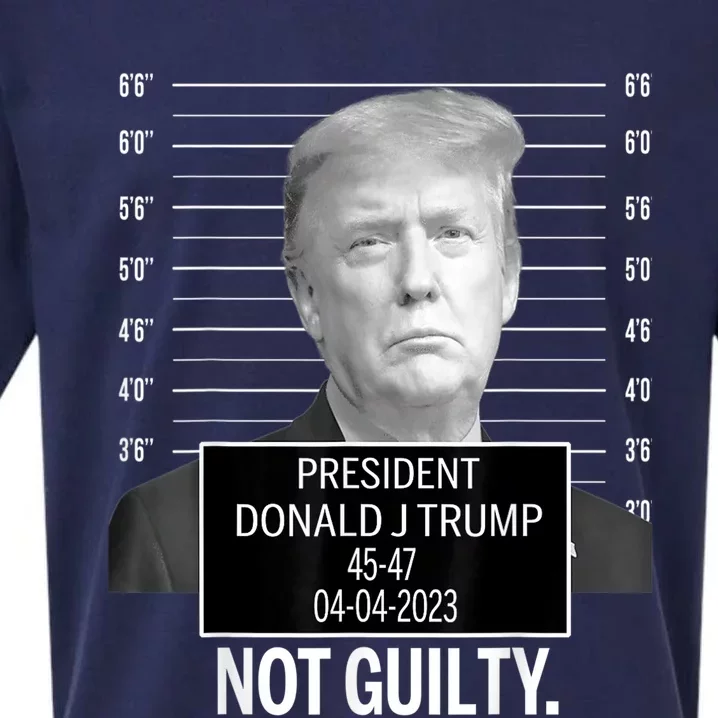 Not Guilty Trump Sueded Cloud Jersey T-Shirt