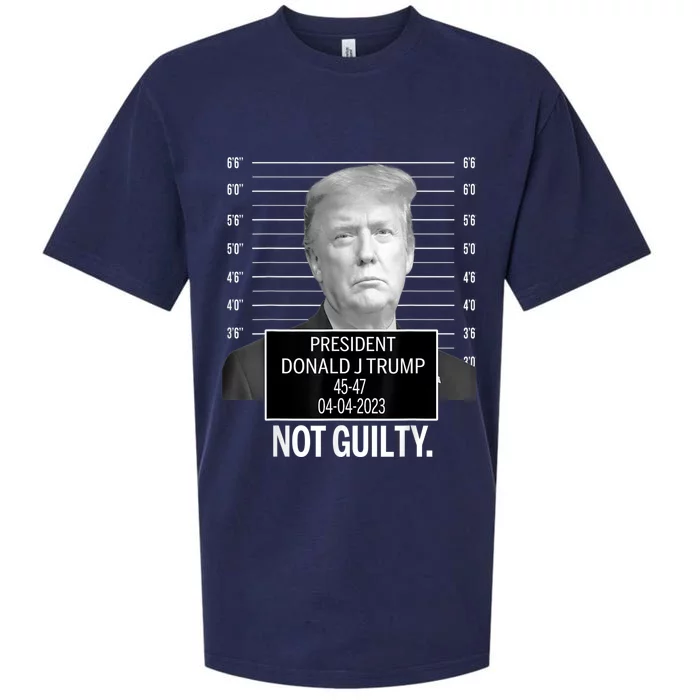 Not Guilty Trump Sueded Cloud Jersey T-Shirt