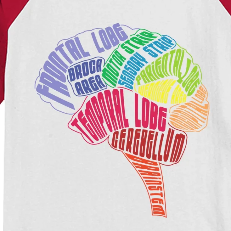 Neurology Hu Brain Anatomy Neurologists Brain Doctor Gift Kids Colorblock Raglan Jersey