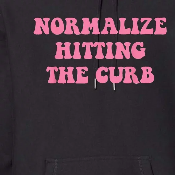 Normalize Hitting the Curb Funny Apparel Premium Hoodie