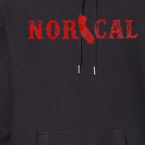 Normal Isnt Coming Back But Jesus Is Revelation 14 Costume Premium Hoodie