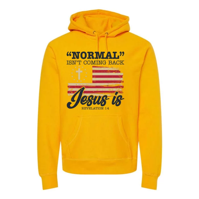 Normal Isn't Coming Back Jesus Is Distressed USA Flag Premium Hoodie