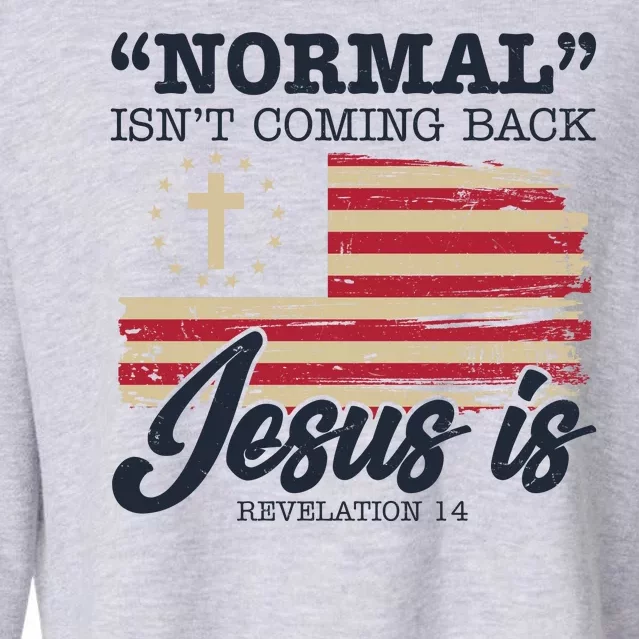 Normal Isn't Coming Back Jesus Is Distressed USA Flag Cropped Pullover Crew