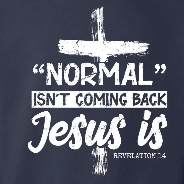 Normal Isn't Coming Back Jesus Is Toddler Hoodie